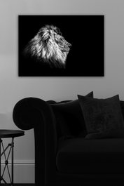 Wallity Lienzo Decorativo Multicolor 50 x 70 cm